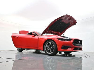 2025 Ford Mustang EcoBoost