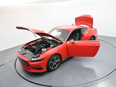 2025 Ford Mustang EcoBoost