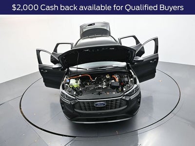 2026 Ford Escape Hybrid Platinum