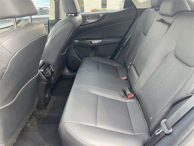 2024 Lexus NX 250 Premium